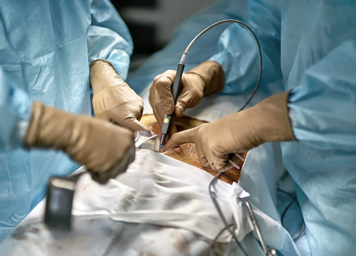 surgeons carrying out a procedure