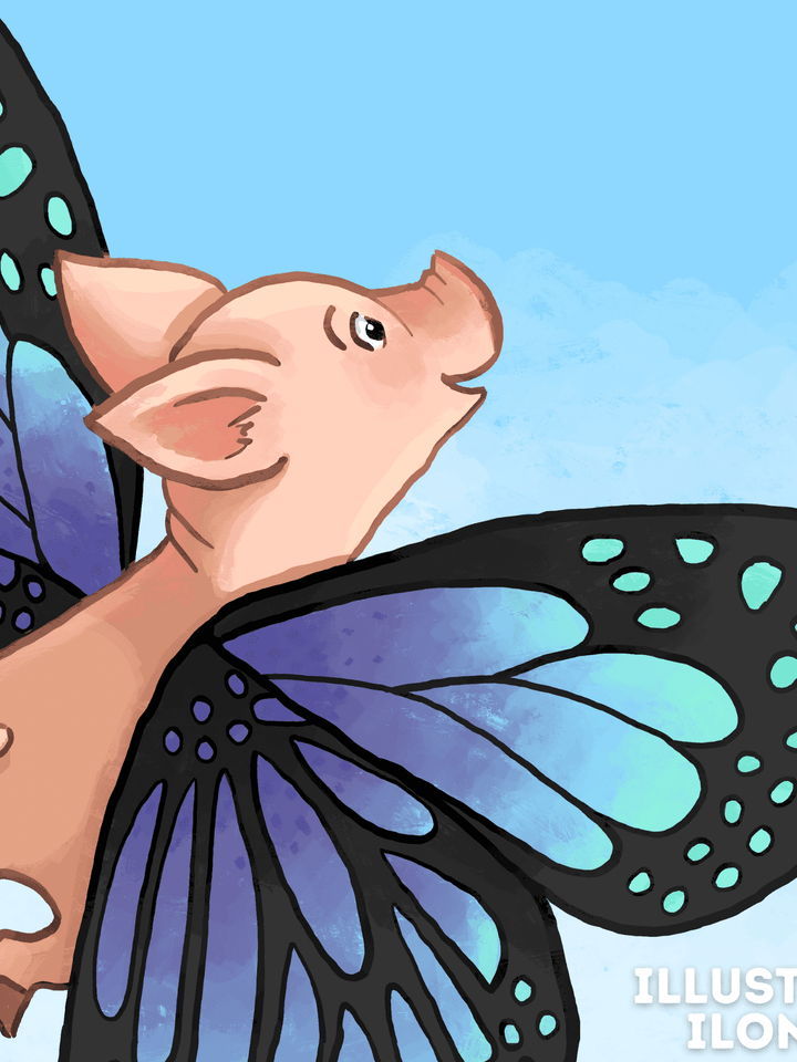 Why &#8220;The Butterfly Pig&#8221;?