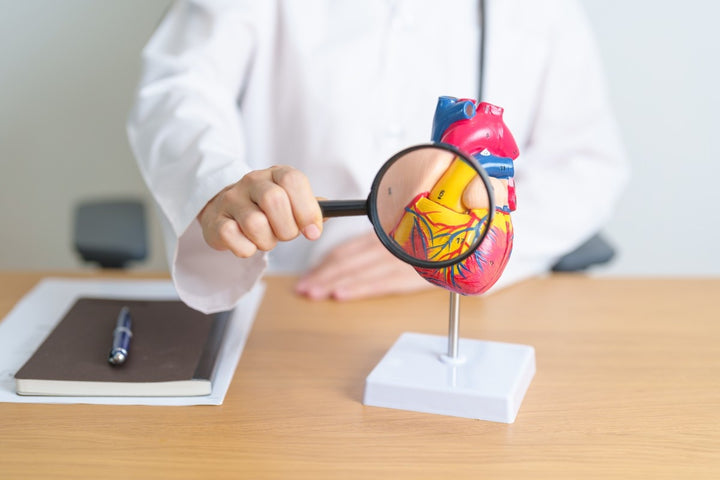 Common Heart Issues in Kids &#038; How They&#8217;re Diagnosed