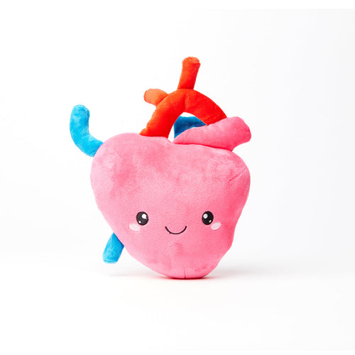 Heart Plush Organ  - Nerdbugs Heart Plushie Organ - I aorta to tell you how much I love you