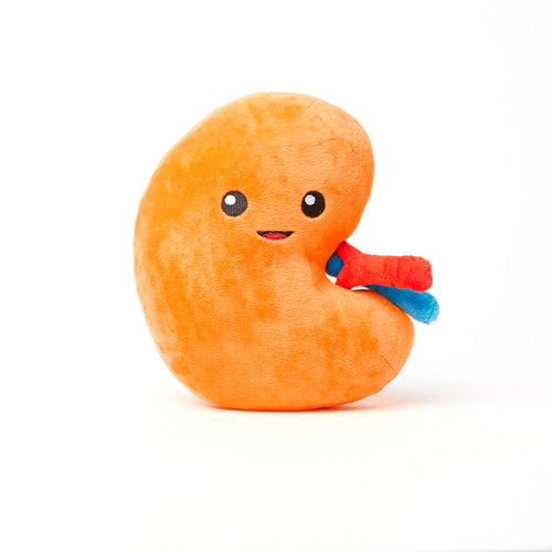 Kidney Plush Organ - Nerdbugs Kidney Plushie Organ - Urine for a treat!