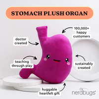 Stomach Plush Organ- Nerdbugs Stomach Plushie Organ Toys-I've gut a good feeling about this
