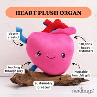 Heart Plush Organ  - Nerdbugs Heart Plushie Organ - I aorta to tell you how much I love you