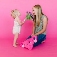Uterus Plush Organ - Nerdbugs Uterus Plushie Organ - Who put the cuter us in uterus?