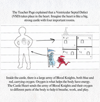 Ventricular Septal Defect Education - Blank Page Series
