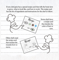 Muscular Dystrophy Education - Blank Page Series