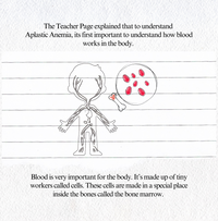 Aplastic Anemia Education - Blank Page Series
