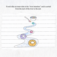 Crohn's Disease Education - Blank Page Series
