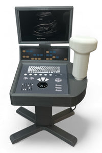 Mini Echocardiogram / Ultrasound Play Tool