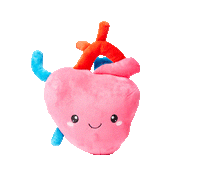 Heart Plush Organ  - Nerdbugs Heart Plushie Organ - I aorta to tell you how much I love you