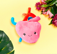 Heart Plush Organ  - Nerdbugs Heart Plushie Organ - I aorta to tell you how much I love you
