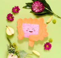 Intestines Plush Organ - Nerdbugs Colon/Intestine Plushie Organ - Intestined for Greatness!