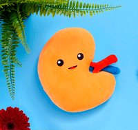 Kidney Plush Organ - Nerdbugs Kidney Plushie Organ - Urine for a treat!