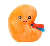 Kidney Plush Organ - Nerdbugs Kidney Plushie Organ - Urine for a treat!