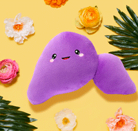 Liver Plush Organ - Nerdbugs Liver Plushie Organ Toys- Go on, liver little!