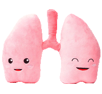 Lung Plush Organ  - Nerdbugs Lung Plushie Organ - We be lung together!
