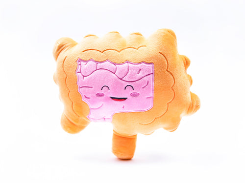 Intestines Plush Organ - Nerdbugs Colon/Intestine Plushie Organ - Intestined for Greatness!