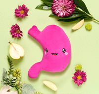 Stomach Plush Organ- Nerdbugs Stomach Plushie Organ Toys-I've gut a good feeling about this