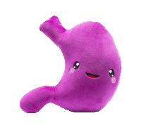 Stomach Plush Organ- Nerdbugs Stomach Plushie Organ Toys-I've gut a good feeling about this