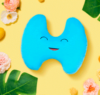Thyroid Plush Organ-Nerdbugs Thyroid Plushie Organ -Life is a gland adventure!