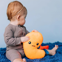 Kidney Plush Organ - Nerdbugs Kidney Plushie Organ - Urine for a treat!