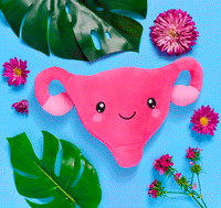 Uterus Plush Organ - Nerdbugs Uterus Plushie Organ - Who put the cuter us in uterus?