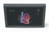 Mini Echocardiogram / Ultrasound Play Tool