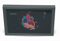 Mini Echocardiogram / Ultrasound Play Tool