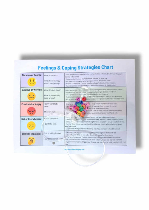 Big Feelings Infusion Bag Play Tool  (and Coping Chart PDF)