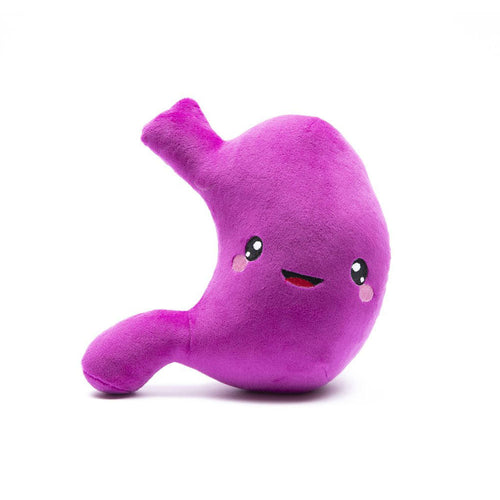 Stomach Plush Organ- Nerdbugs Stomach Plushie Organ Toys-I've gut a good feeling about this